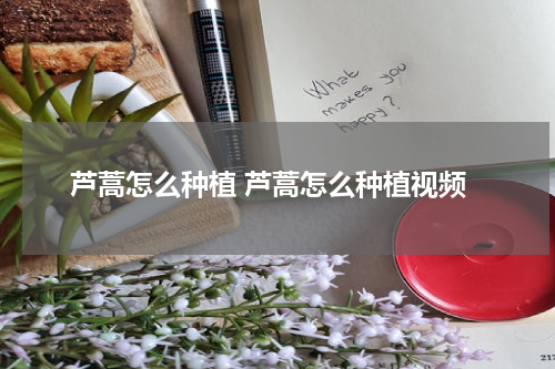 芦蒿怎么种植 芦蒿怎么种植视频