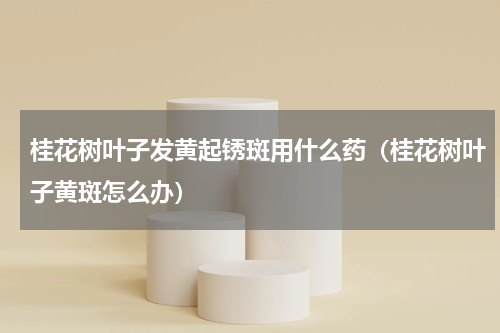 桂花树叶子发黄起锈斑用什么药(桂花树叶子黄斑怎么办)