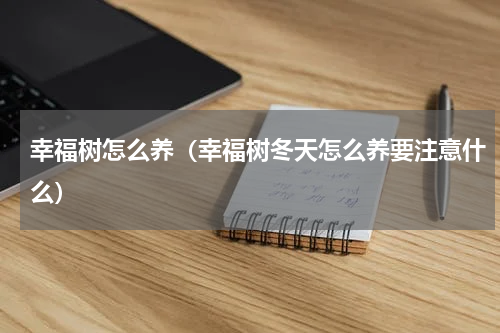 幸福树怎么养(幸福树冬天怎么养要注意什么)