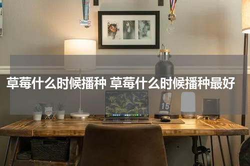 草莓什么时候播种 草莓什么时候播种最好