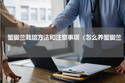 蟹脚兰栽培方法和注意事项(怎么养蟹脚兰)