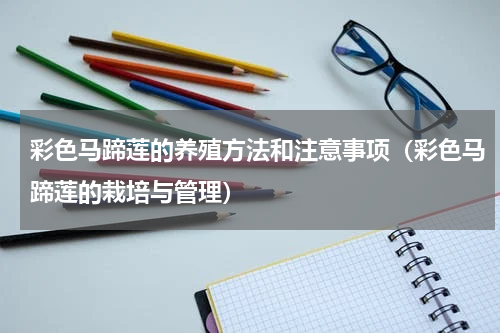 彩色马蹄莲的养殖方法和注意事项(彩色马蹄莲的栽培与管理)