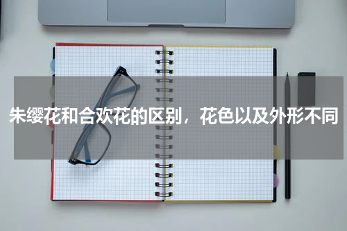 朱缨花和合欢花的区别，花色以及外形不同