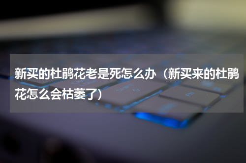 新买的杜鹃花老是死怎么办(新买来的杜鹃花怎么会枯萎了)