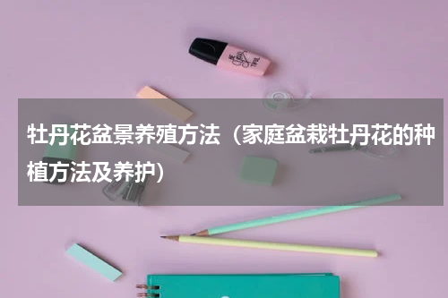 牡丹花盆景养殖方法(家庭盆栽牡丹花的种植方法及养护)