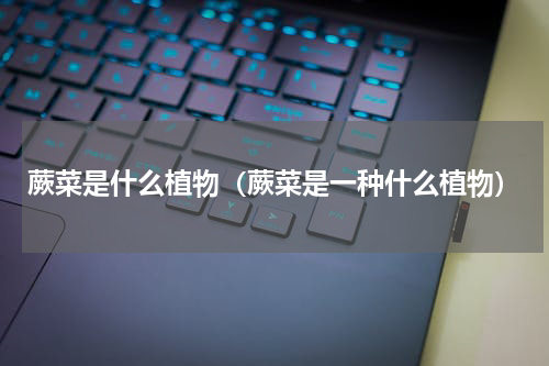 蕨菜是什么植物(蕨菜是一种什么植物)