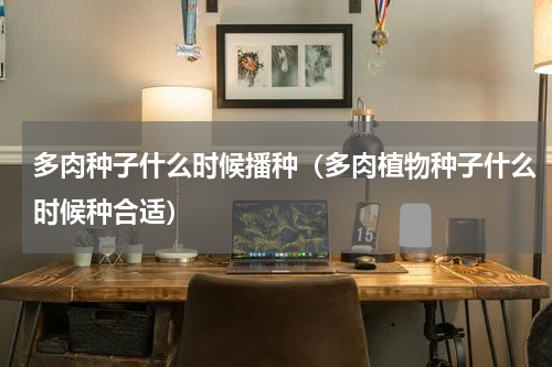 多肉种子什么时候播种(多肉植物种子什么时候种合适)