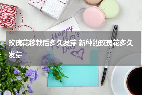 玫瑰花移栽后多久发芽 新种的玫瑰花多久发芽