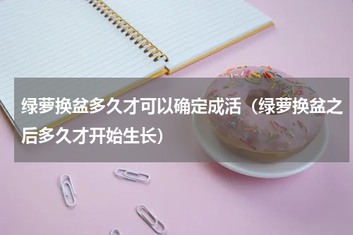绿萝换盆多久才可以确定成活(绿萝换盆之后多久才开始生长)