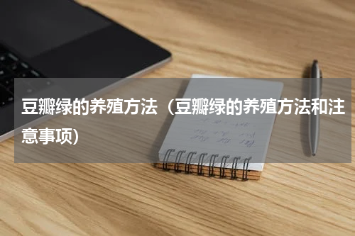 豆瓣绿的养殖方法(豆瓣绿的养殖方法和注意事项)
