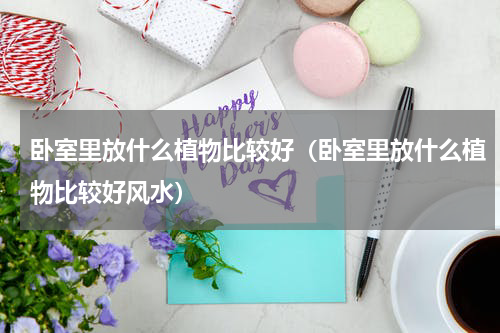 卧室里放什么植物比较好(卧室里放什么植物比较好风水)