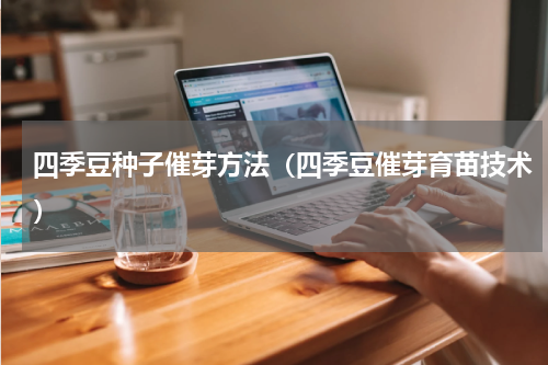 四季豆种子催芽方法(四季豆催芽育苗技术)