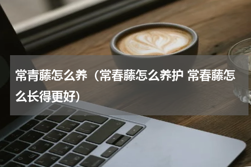 常青藤怎么养(常春藤怎么养护 常春藤怎么长得更好)