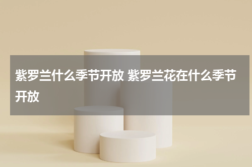 紫罗兰什么季节开放 紫罗兰花在什么季节开放