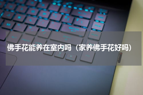 佛手花能养在室内吗（家养佛手花好吗）