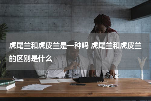 虎尾兰和虎皮兰是一种吗 虎尾兰和虎皮兰的区别是什么