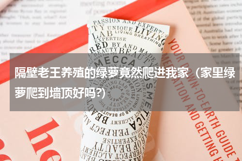 隔壁老王养殖的绿萝竟然爬进我家(家里绿萝爬到墙顶好吗?)