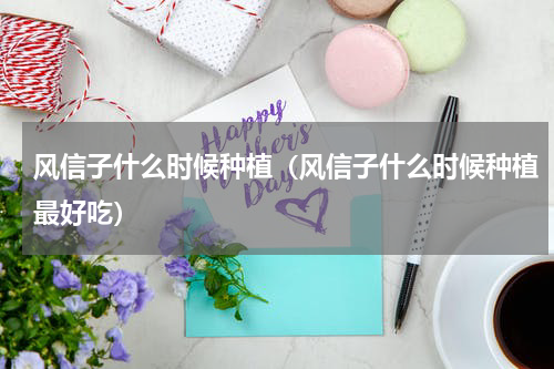 风信子什么时候种植(风信子什么时候种植最好吃)