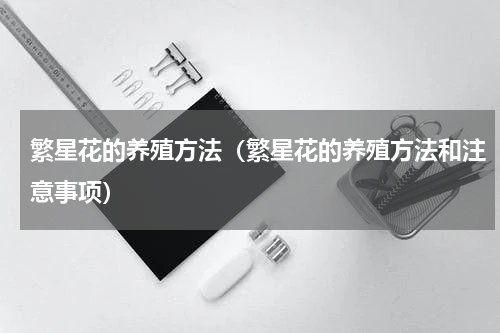 繁星花的养殖方法(繁星花的养殖方法和注意事项)