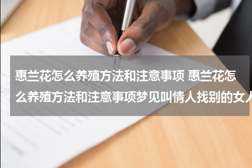 惠兰花怎么养殖方法和注意事项 惠兰花怎么养殖方法和注意事项梦见叫情人找别的女人