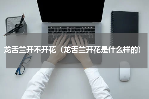 龙舌兰开不开花(龙舌兰开花是什么样的)