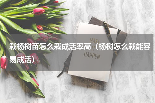 栽杨树苗怎么栽成活率高(杨树怎么栽能容易成活)