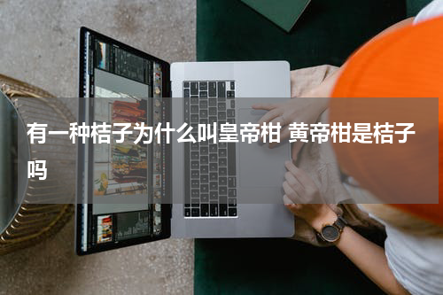 有一种桔子为什么叫皇帝柑 黄帝柑是桔子吗