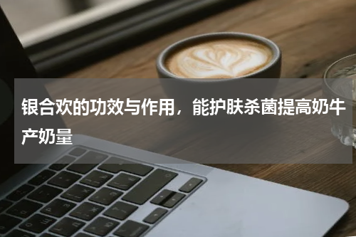 银合欢的功效与作用，能护肤杀菌提高奶牛产奶量