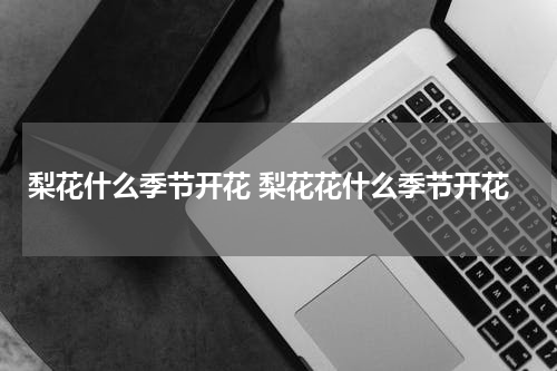 梨花什么季节开花 梨花花什么季节开花