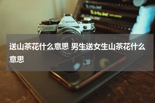 送山茶花什么意思 男生送女生山茶花什么意思