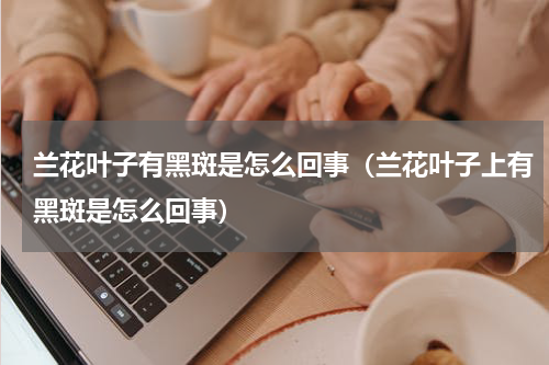 兰花叶子有黑斑是怎么回事(兰花叶子上有黑斑是怎么回事)