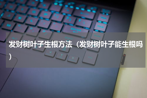 发财树叶子生根方法(发财树叶子能生根吗)