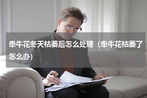 牵牛花冬天枯萎后怎么处理(牵牛花枯萎了怎么办)