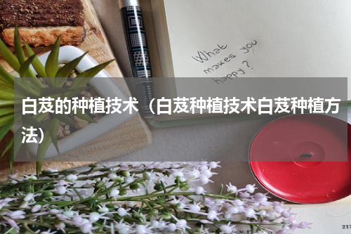 白芨的种植技术(白芨种植技术白芨种植方法)