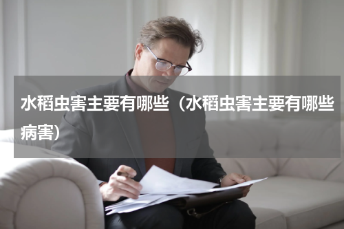 水稻虫害主要有哪些(水稻虫害主要有哪些病害)