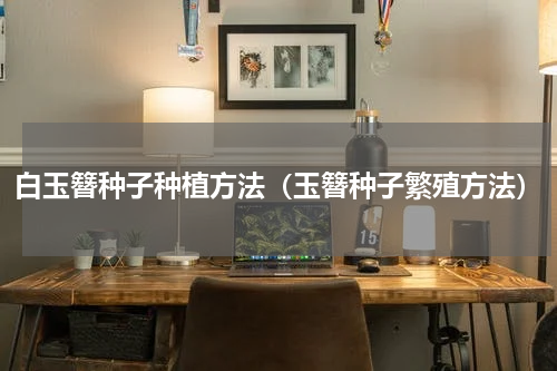白玉簪种子种植方法(玉簪种子繁殖方法)