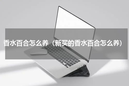 香水百合怎么养(新买的香水百合怎么养)