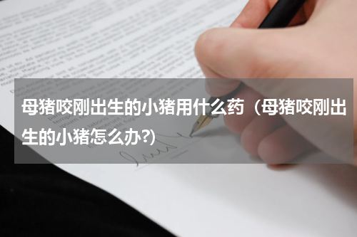 母猪咬刚出生的小猪用什么药(母猪咬刚出生的小猪怎么办?)