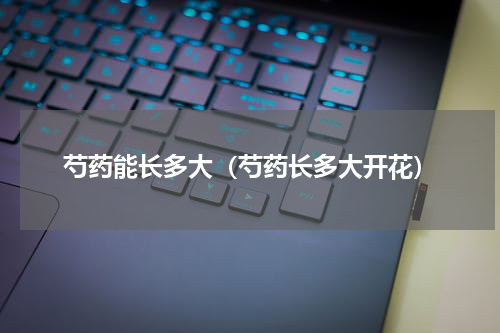 芍药能长多大(芍药长多大开花)