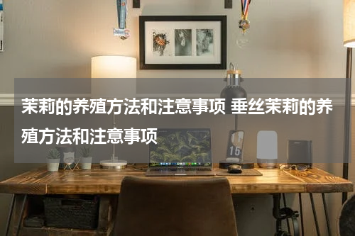 茉莉的养殖方法和注意事项 垂丝茉莉的养殖方法和注意事项