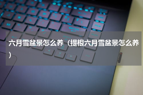 六月雪盆景怎么养(提根六月雪盆景怎么养)