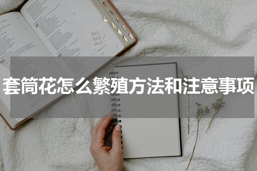 套筒花怎么繁殖方法和注意事项