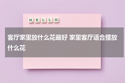 客厅家里放什么花最好 家里客厅适合摆放什么花