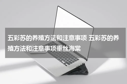 五彩苏的养殖方法和注意事项 五彩苏的养殖方法和注意事项垂丝海棠