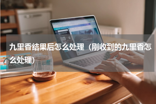 九里香结果后怎么处理（刚收到的九里香怎么处理）