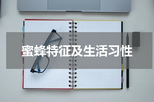 蜜蜂特征及生活习性