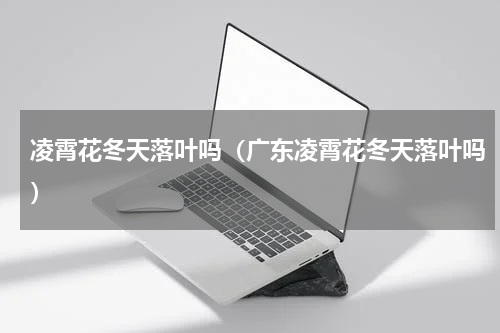 凌霄花冬天落叶吗（广东凌霄花冬天落叶吗）