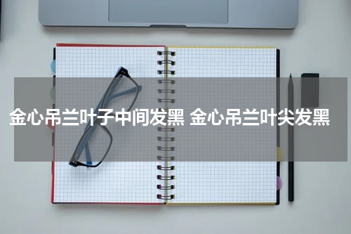 金心吊兰叶子中间发黑 金心吊兰叶尖发黑