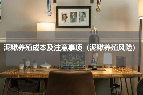 泥鳅养殖成本及注意事项(泥鳅养殖风险)