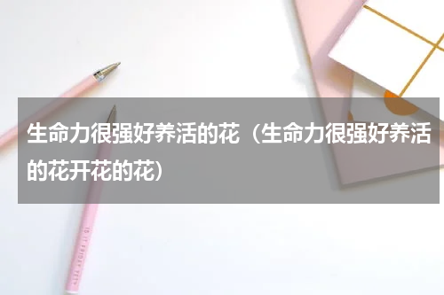 生命力很强好养活的花(生命力很强好养活的花开花的花)